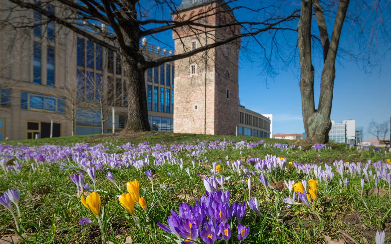 Galerie Roter Turm Chemnitz